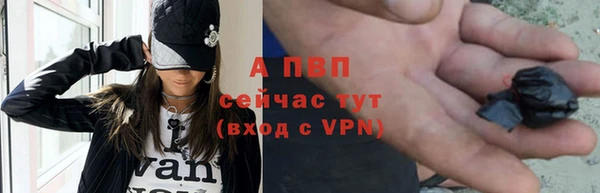 spice Арсеньев