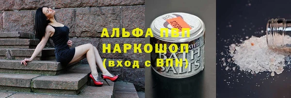 индика Аркадак