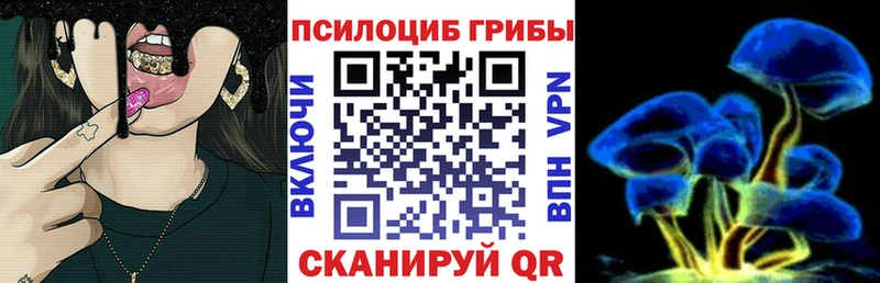 mega ссылки  Нижняя Тура  Псилоцибиновые грибы ЛСД  купить  